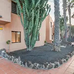 Oasis Duna Casa Maho Corralejo