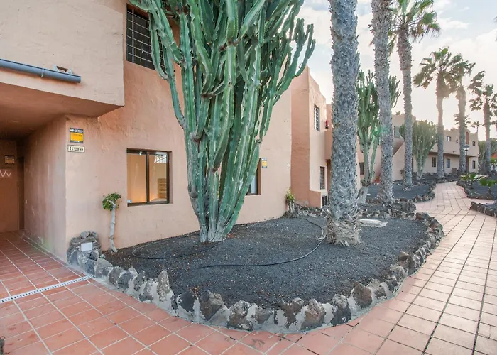 Oasis Duna Casa Maho Corralejo